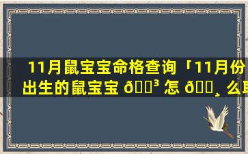 11月鼠宝宝命格查询「11月份出生的鼠宝宝 🌳 怎 🕸 么取名」